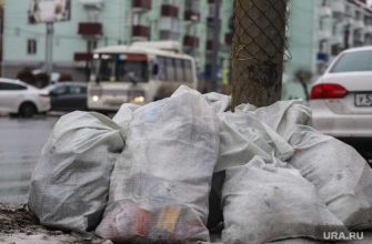 Губернатор Курганской области Вадим Шумков