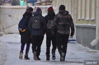 уроки цифровой грамотности