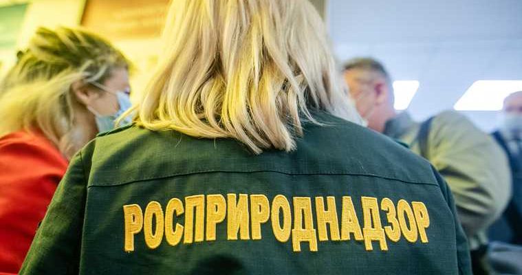 Росприроднадзор Светлана Радионова визит ЯНАО