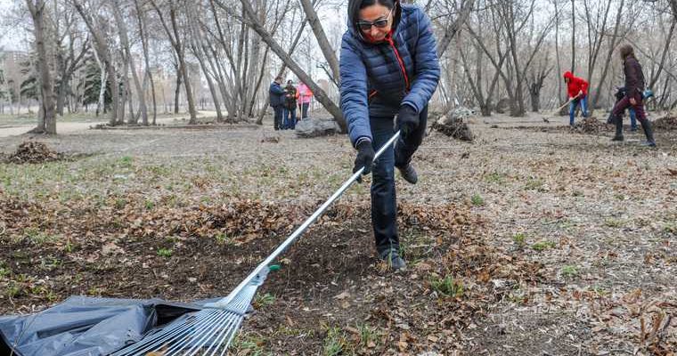 Челябинск Котова субботник Сад камней