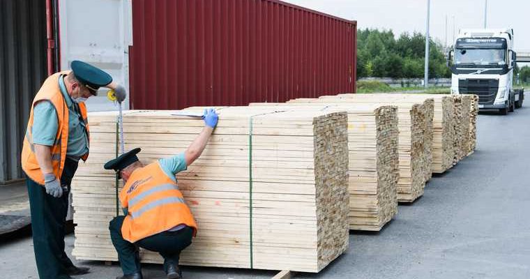 преемники Путина