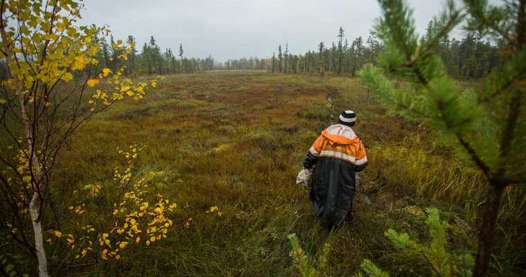 Мураховский