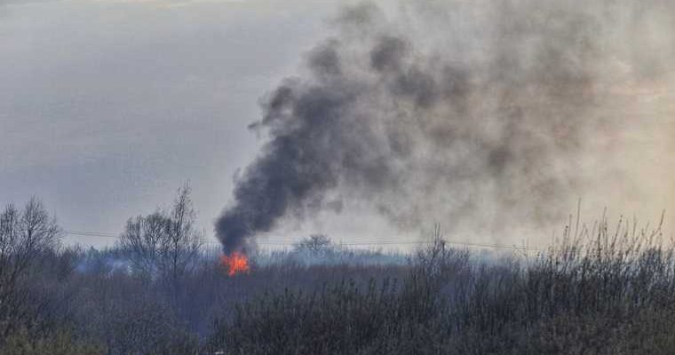 научный руководитель Гидрометцентра России Роман Вильфанд