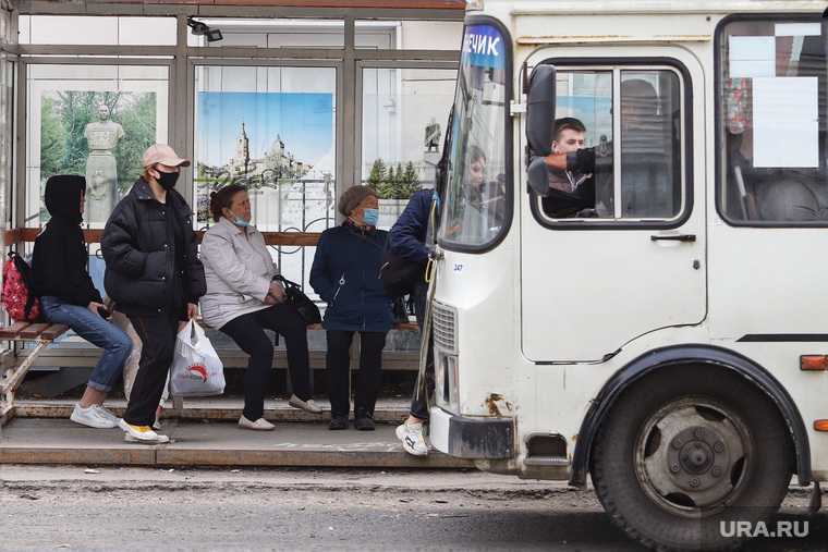 автобусы в шадринске