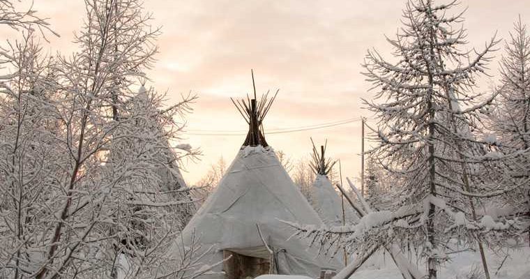 прокуратура ЯНАО защита прав граждан