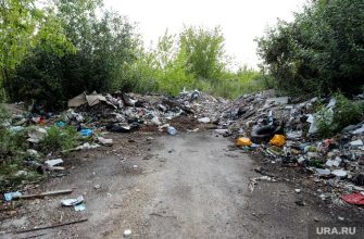 Мэрия в ЯНАО несколько лет не может убрать свалку в черте города