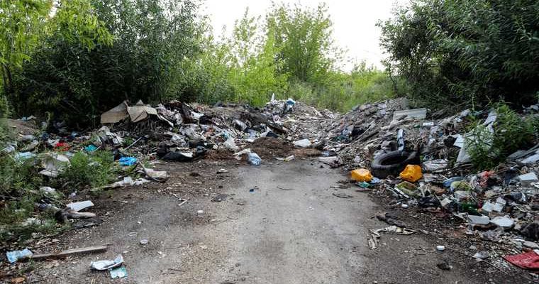 Мэрия в ЯНАО несколько лет не может убрать свалку в черте города