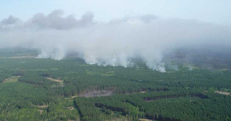 Пермский лесопожарный центр пожары в Пермском крае