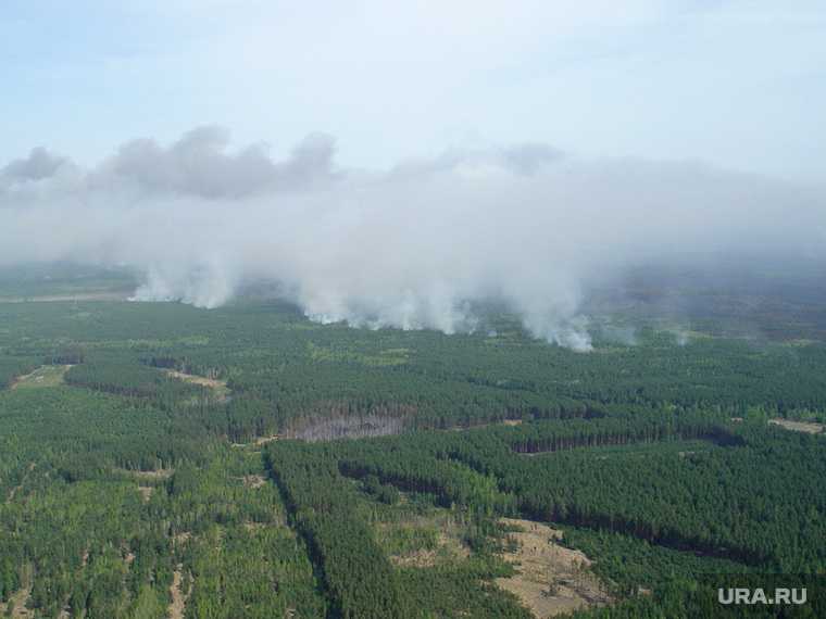 Пермский лесопожарный центр пожары в Пермском крае