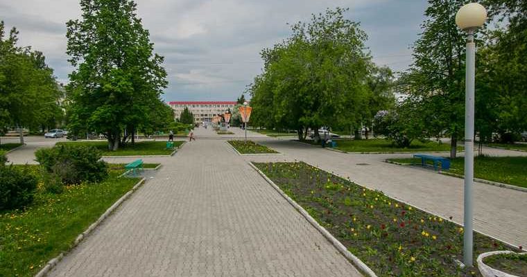 растения конопли