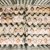 Производители предупредили о дефиците куриных яиц в России