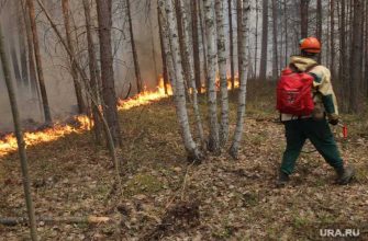 лесные пожары Свердловская область Алексей Кузнецов министр экологии
