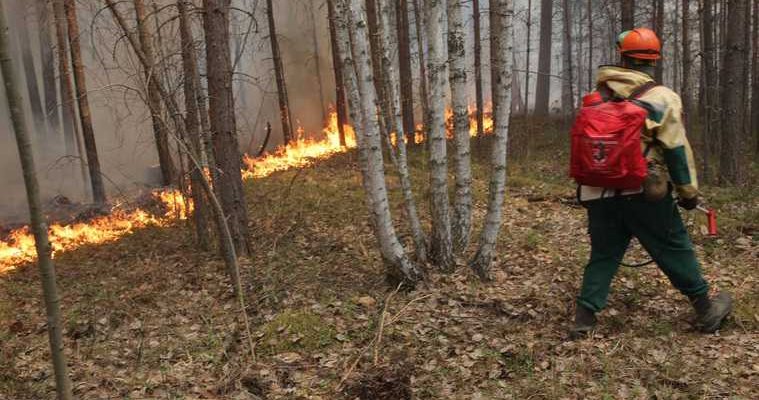 лесные пожары Свердловская область Алексей Кузнецов министр экологии