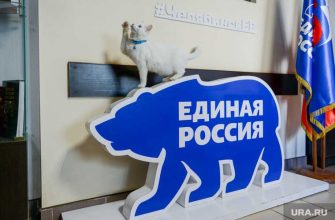 Челябинская область выборы Госдуму 2021 праймериз новости