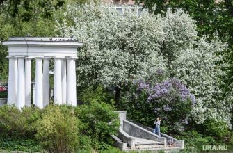 В северную часть ЯНАО пришла жара