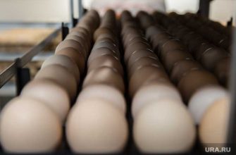 Среднеуральская птицефабрика