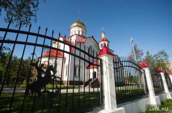 вице мэр Сургута