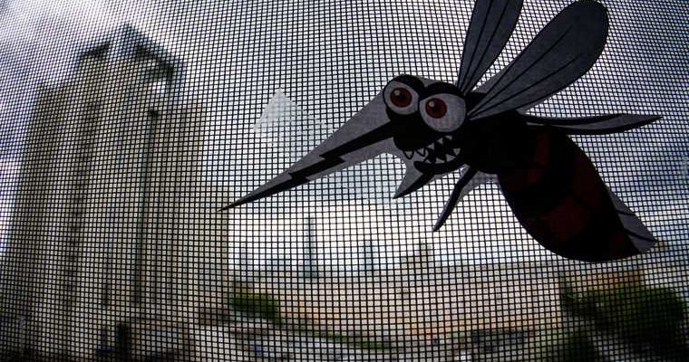 опасные комары российские курорты