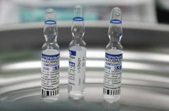 COVID 19 могут болеть хорьки и норки