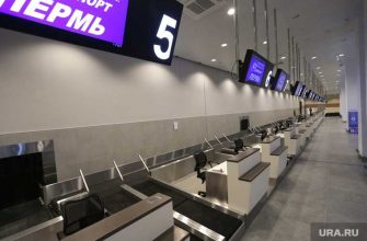 пописала в аэропорту