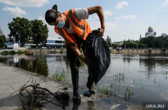 мигранты екатеринбург фсб легализация