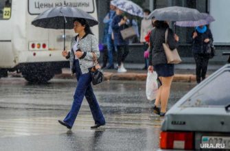 Челябинская области дожди грозы температура