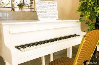 поддержка творческих людей