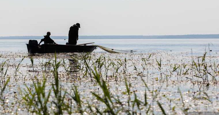 ловля сетями тюменская область