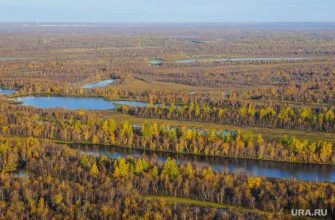 цифровая экономика