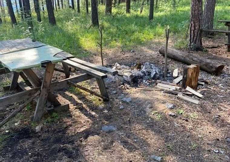 Челябинского замминистра обвинили в пикнике в заповедном лесу. Видео, фото