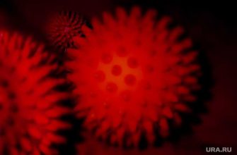 опасность вируса