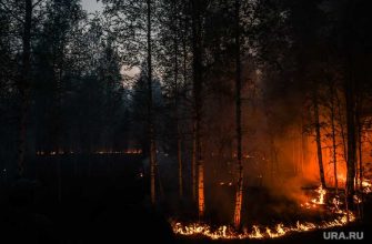 Челябинская область