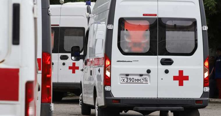 Коронавирус Курган