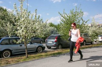 коронавирус кто рискует заболеть в России