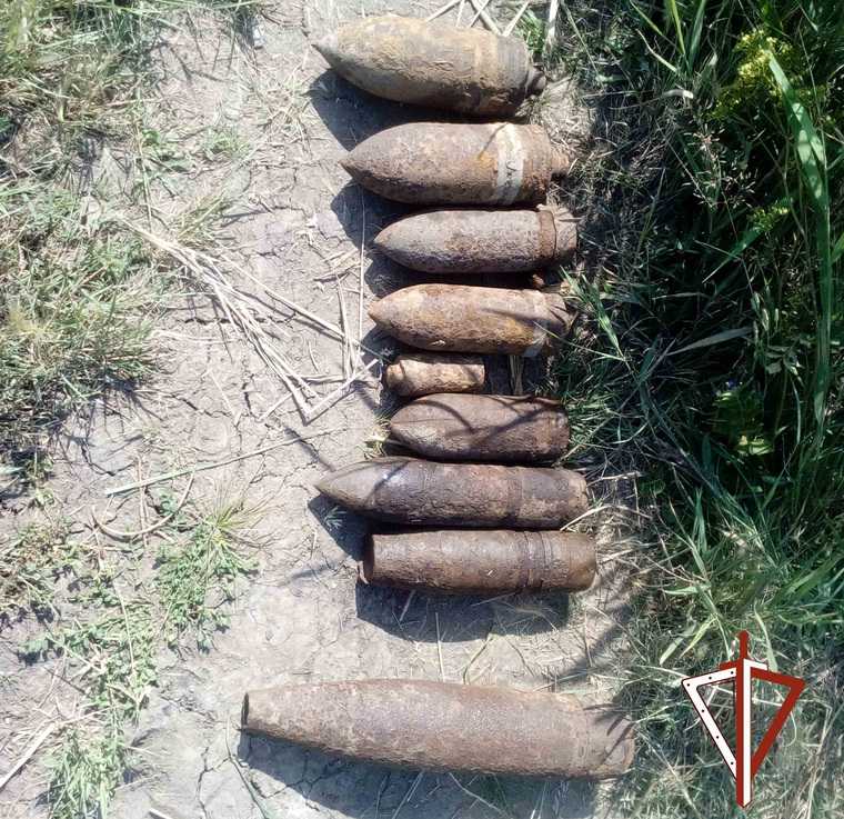 На берегу курганского озера нашли 14 артиллерийских снарядов. Фото