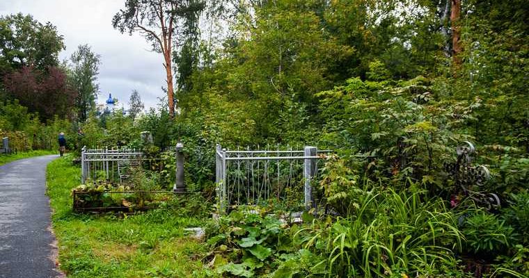 Тюменская область