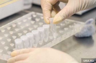 расследование