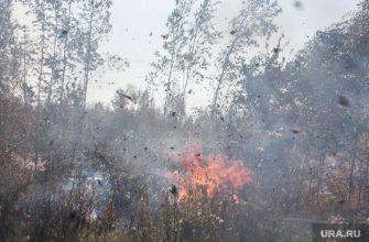 прогноз погоды