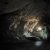 Сибирский рудник УГМК остановил работу после обрушения