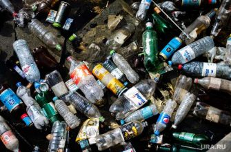 Виктория Абрамченко