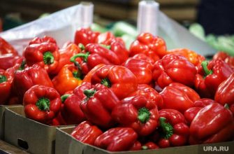 Курганская область